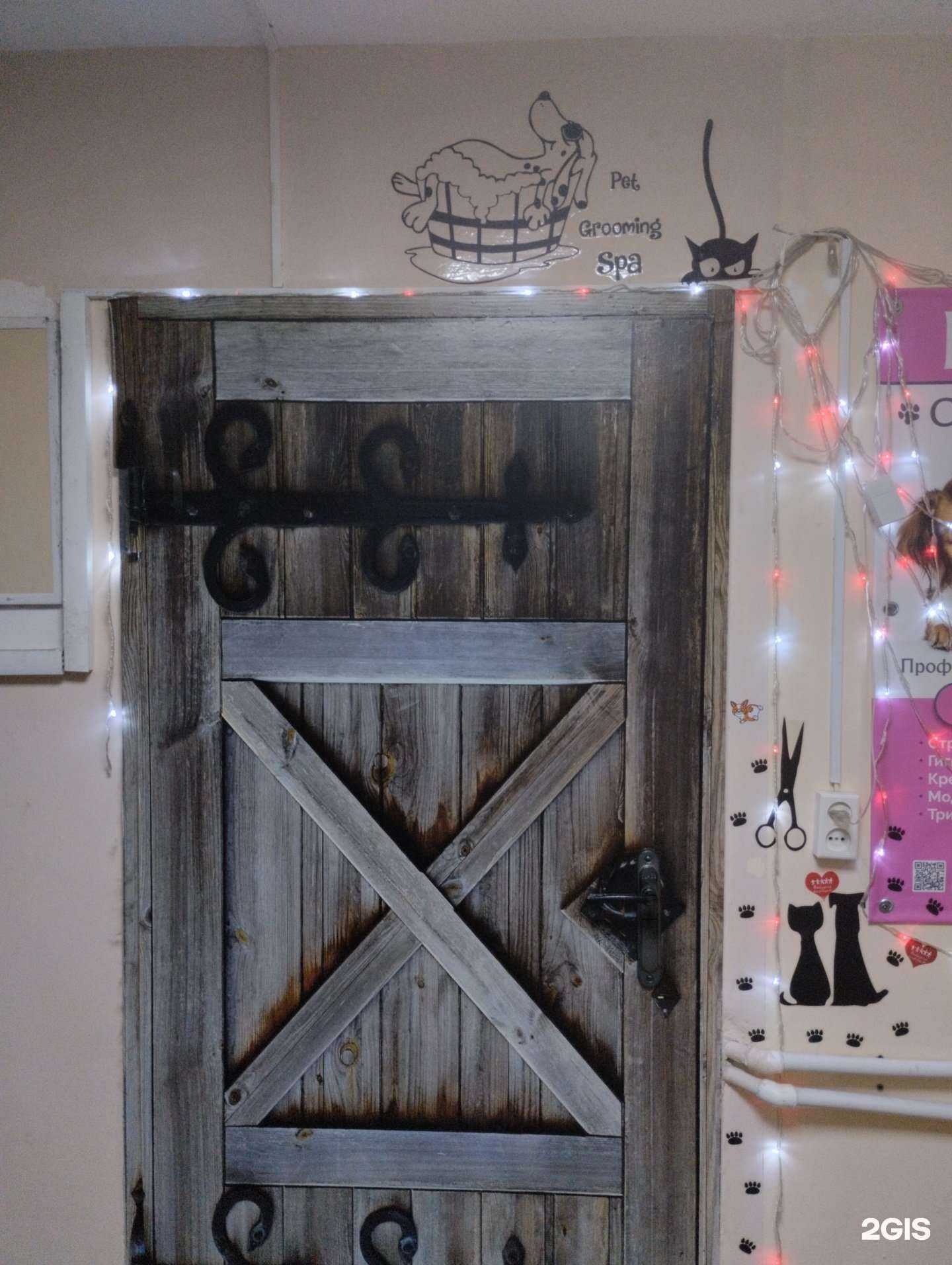 Отзывы на компанию Груминг салон в г. Тула c фото