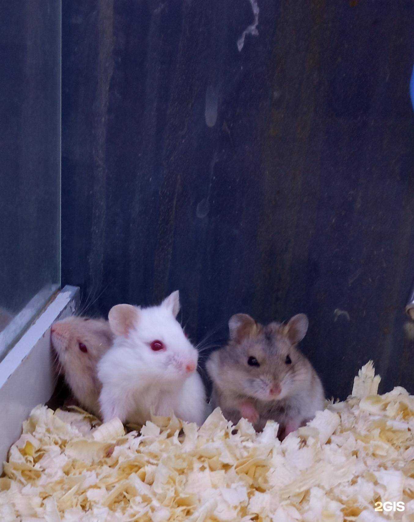 Отзывы на компанию Бонифаций в г. Березники c фото