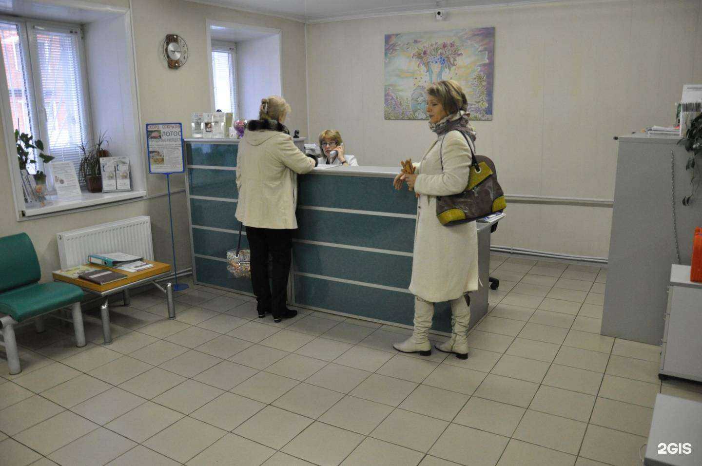 Отзывы на компанию Эльф в Владимире c фото