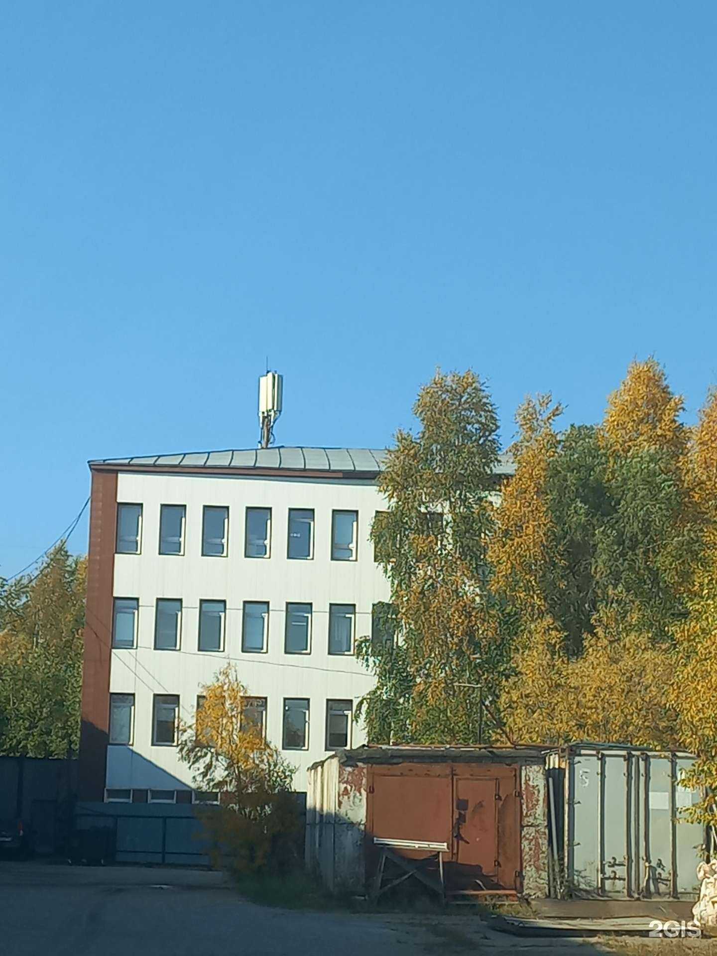 Отзывы на компанию Синтегма в Нижневартовске c фото