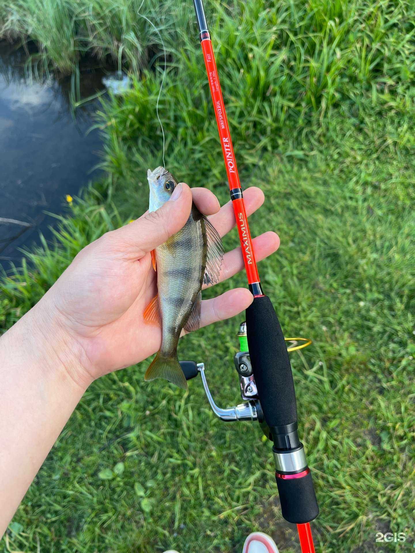 Отзывы на компанию Рыбачок в Златоусте c фото