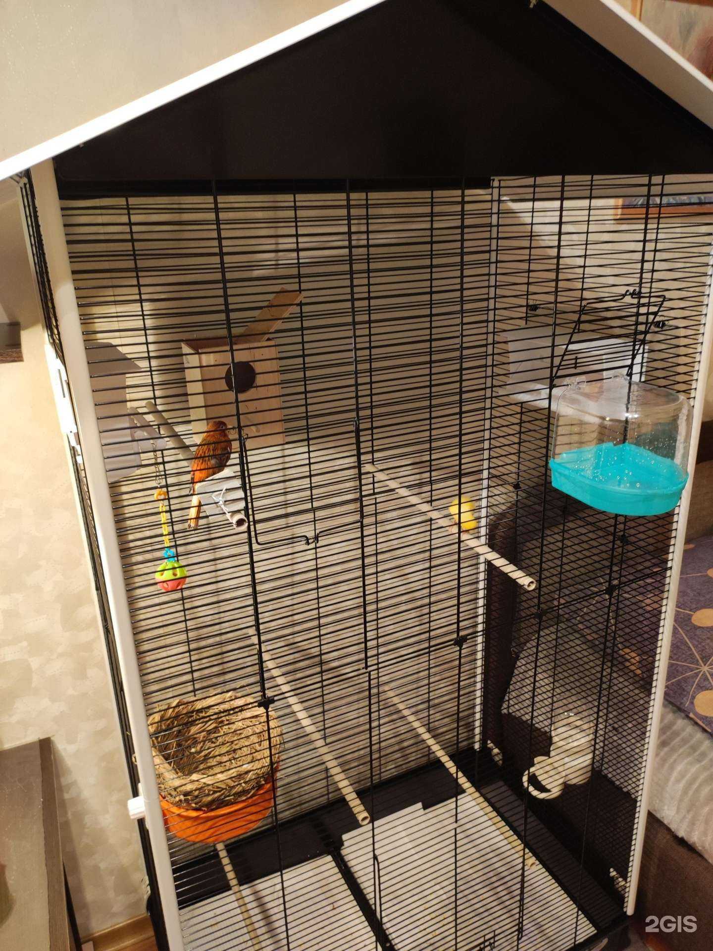 Отзывы на компанию Зеленая планета в Норильске c фото