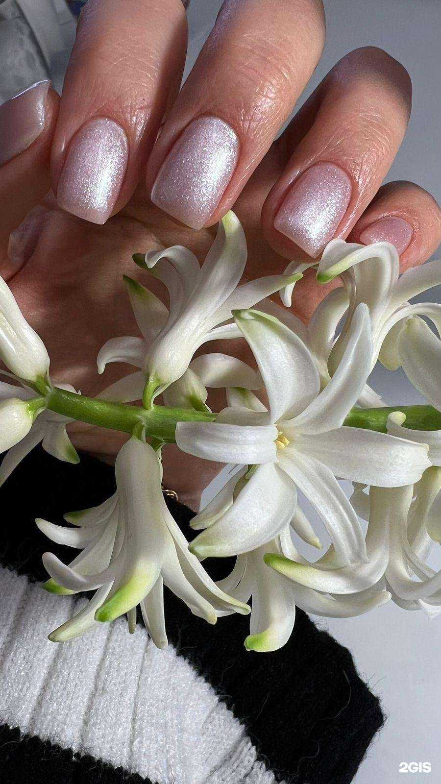 Отзывы на компанию Дикая мята в Новороссийске c фото