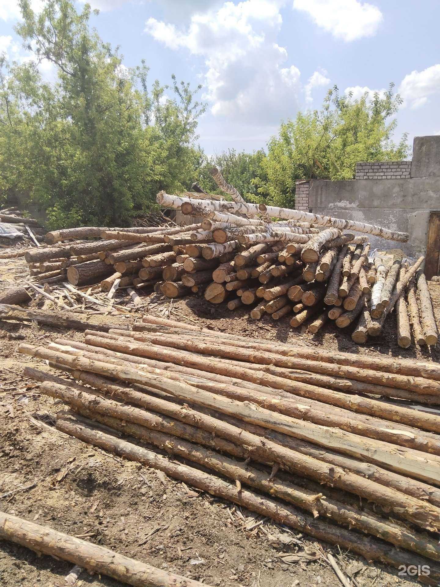 Отзывы на компанию Лес Липецк в г. Липецк c фото