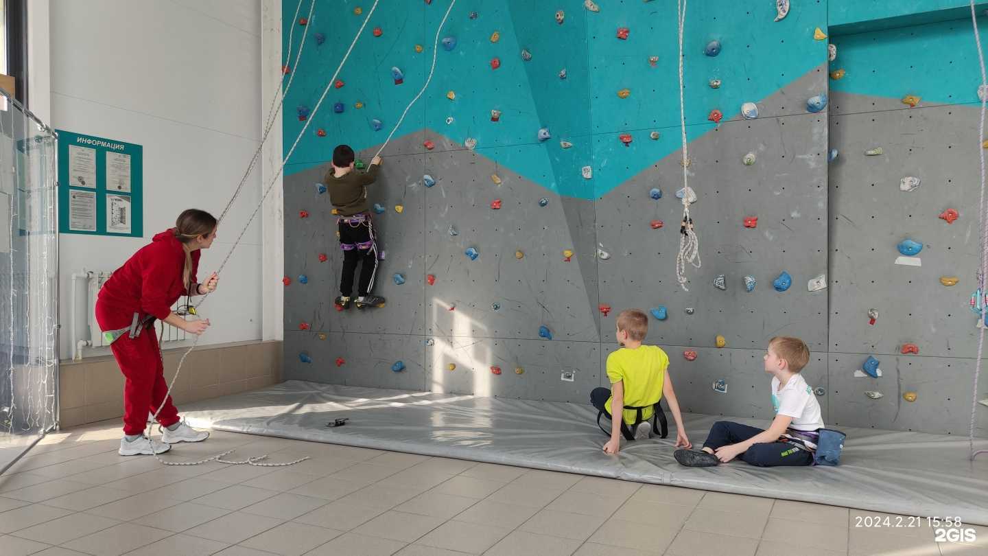 Отзывы на компанию Царь горы в г. Саратов c фото