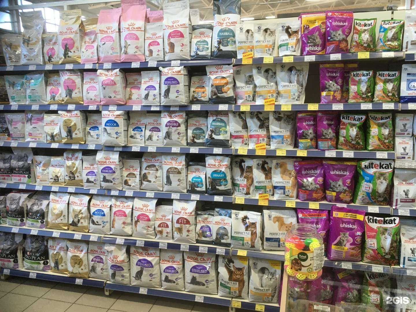 Отзывы на компанию Любимчик в Орске c фото