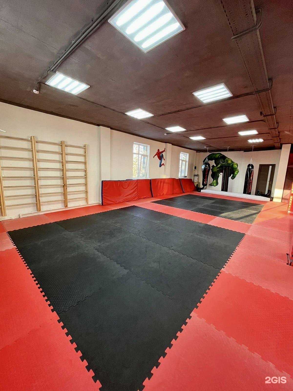 Отзывы на компанию Детская спортивная школа Дмитрия Яковлева в г. Балашиха c фото