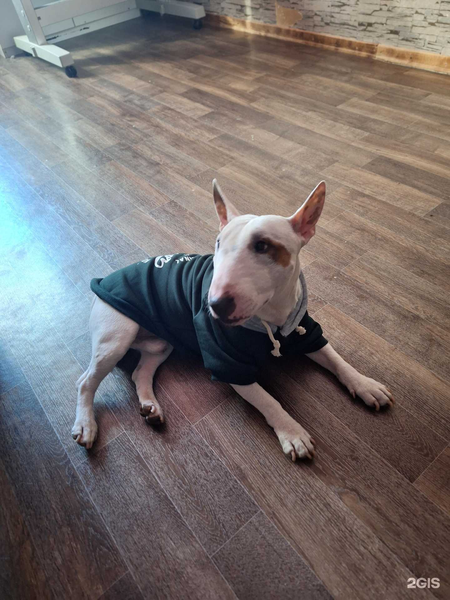 Отзывы на компанию Зоозавр в Уфе c фото