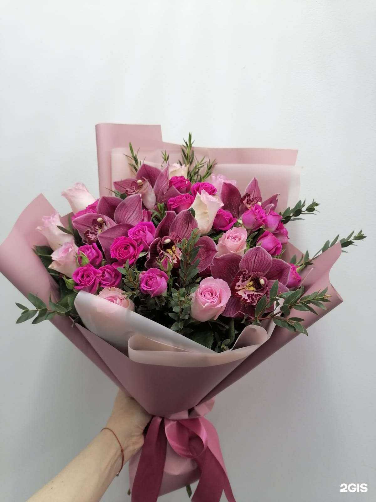 Отзывы на компанию Каталея в Сыктывкаре c фото