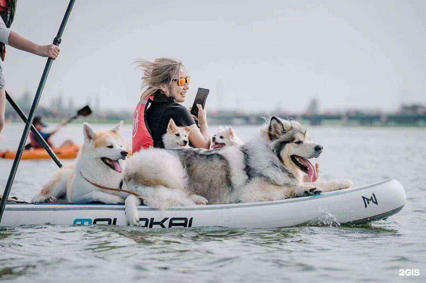 Отзывы на компанию Molokai&iboard shop в Владивостоке c фото