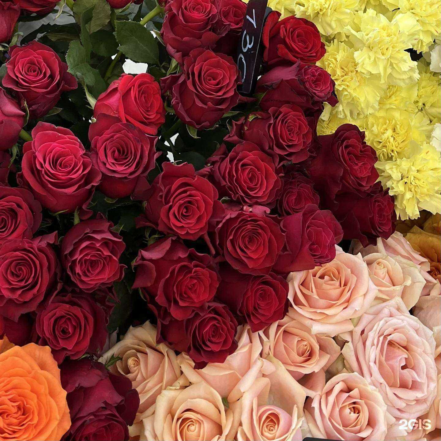 Отзывы на компанию Мастер и Маргаритка в г. Рязань c фото