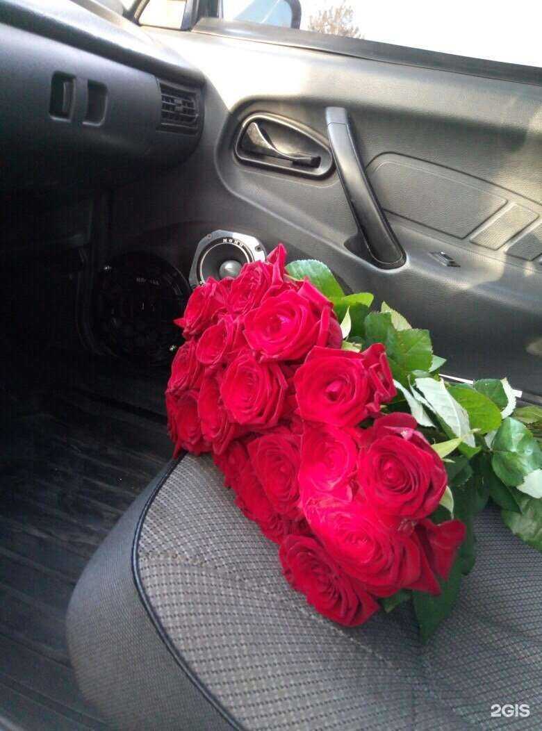 Отзывы на компанию Ларион в Саратове c фото