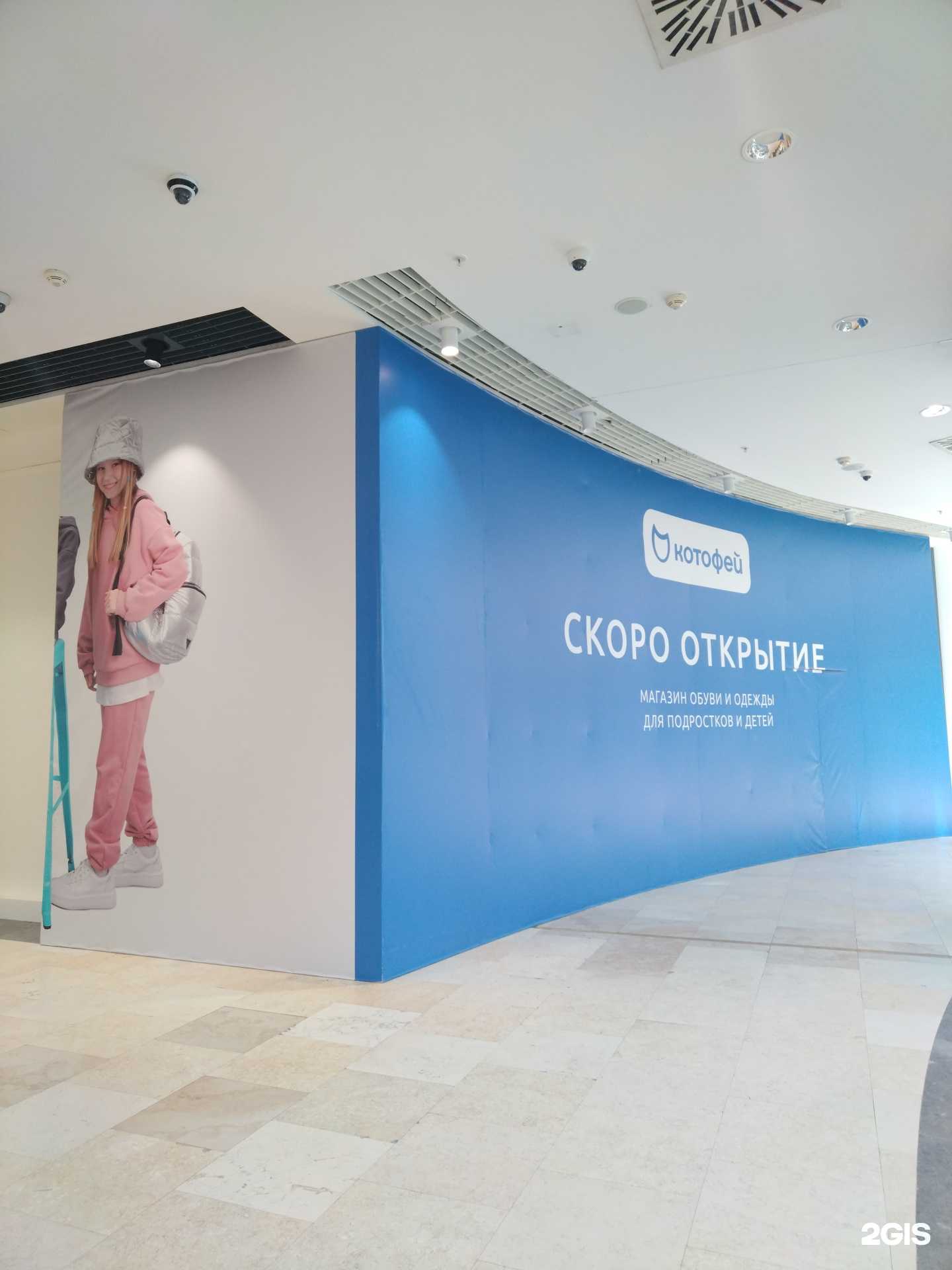 Отзывы на компанию Котофей в Новосибирске c фото