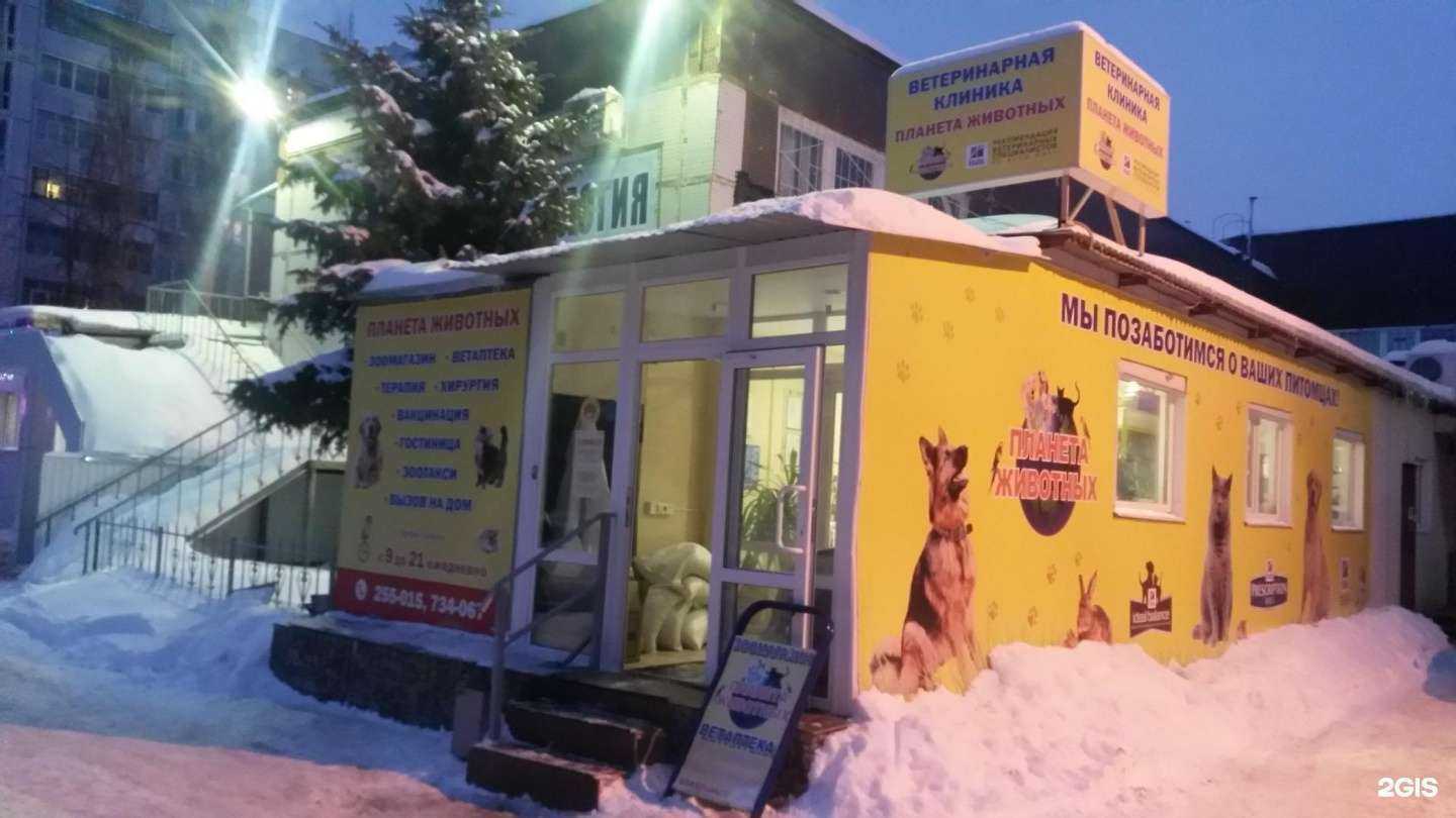 Отзывы на компанию Планета животных в Ульяновске c фото