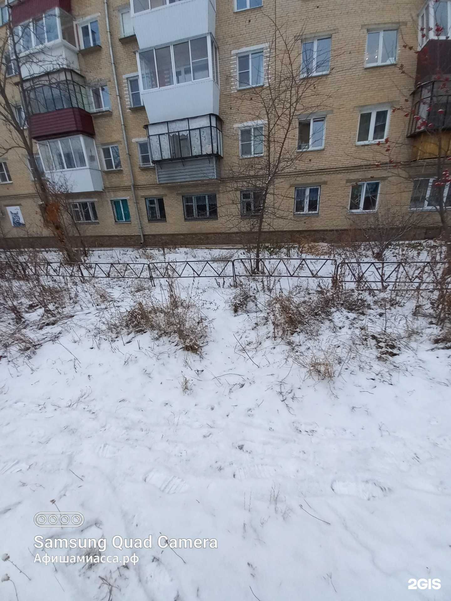 Отзывы на компанию Зоомаркет в Миассе c фото - фотография 2 из 2