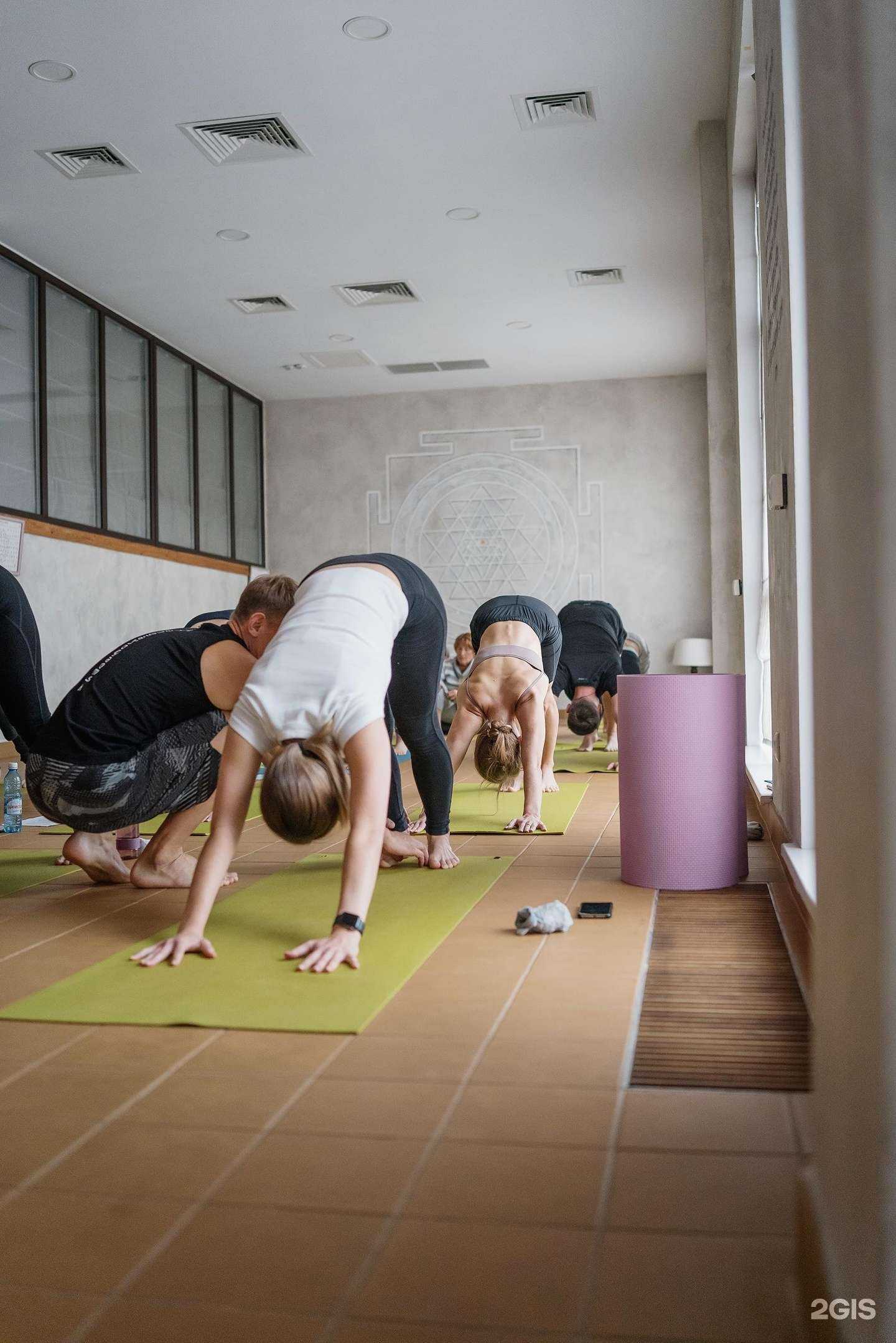 Отзывы на компанию Virgou в г. Омск c фото