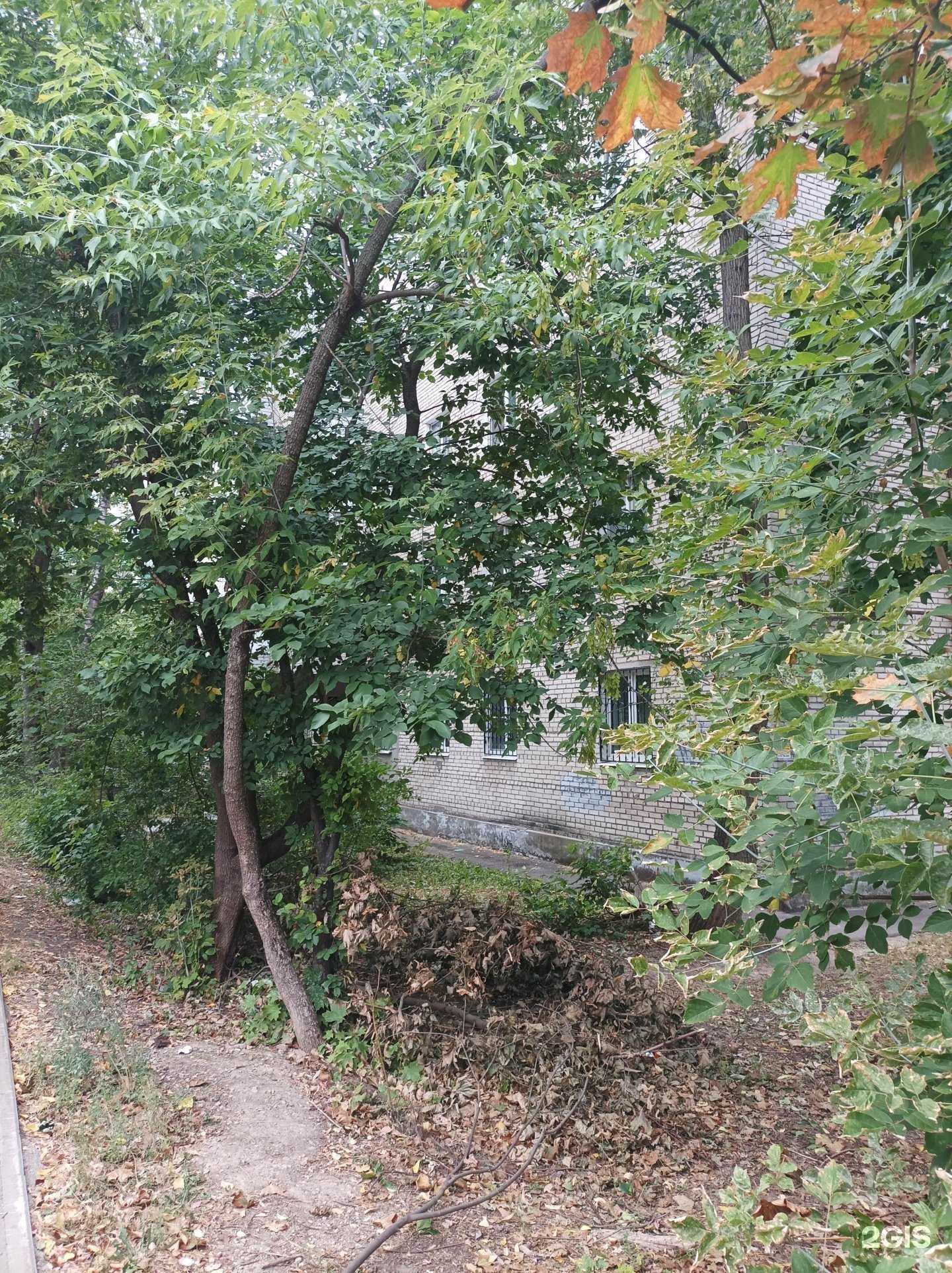 Отзывы на компанию Эксперта в Пушкине c фото - фотография 2 из 2