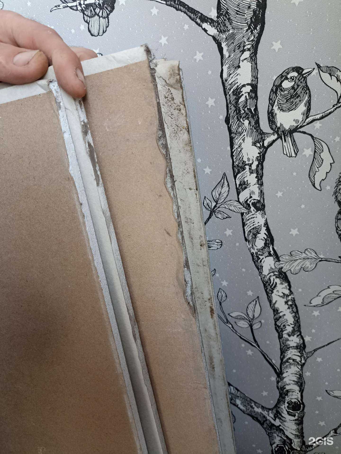 Отзывы на компанию Домовой в Хабаровске c фото