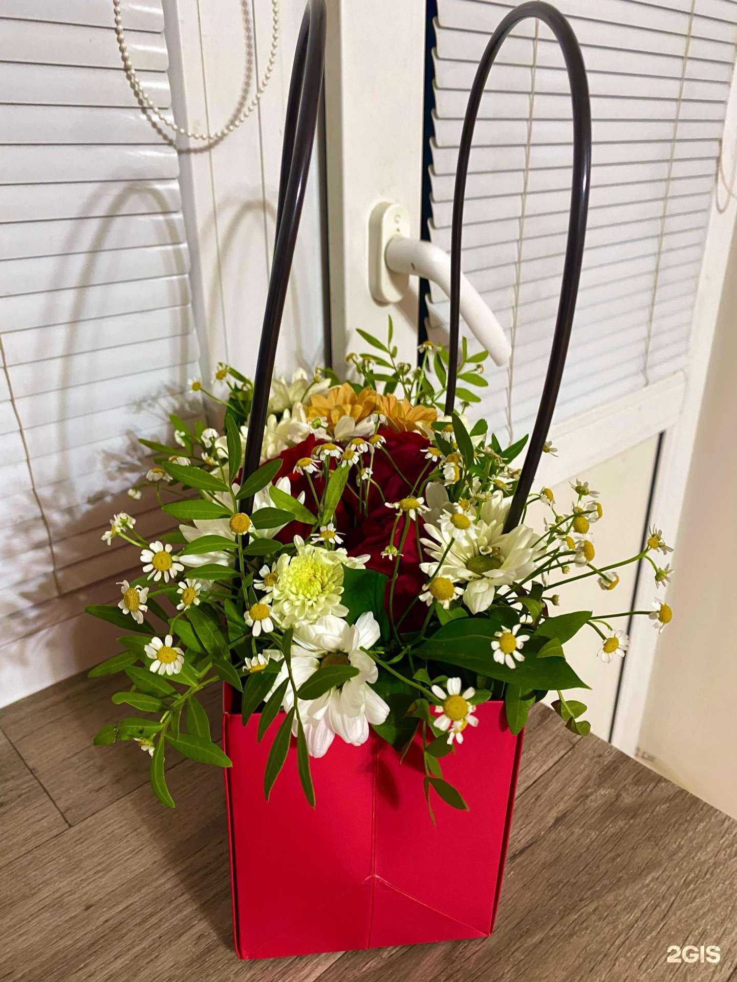 Отзывы на компанию ЦветКэт в Иванове c фото