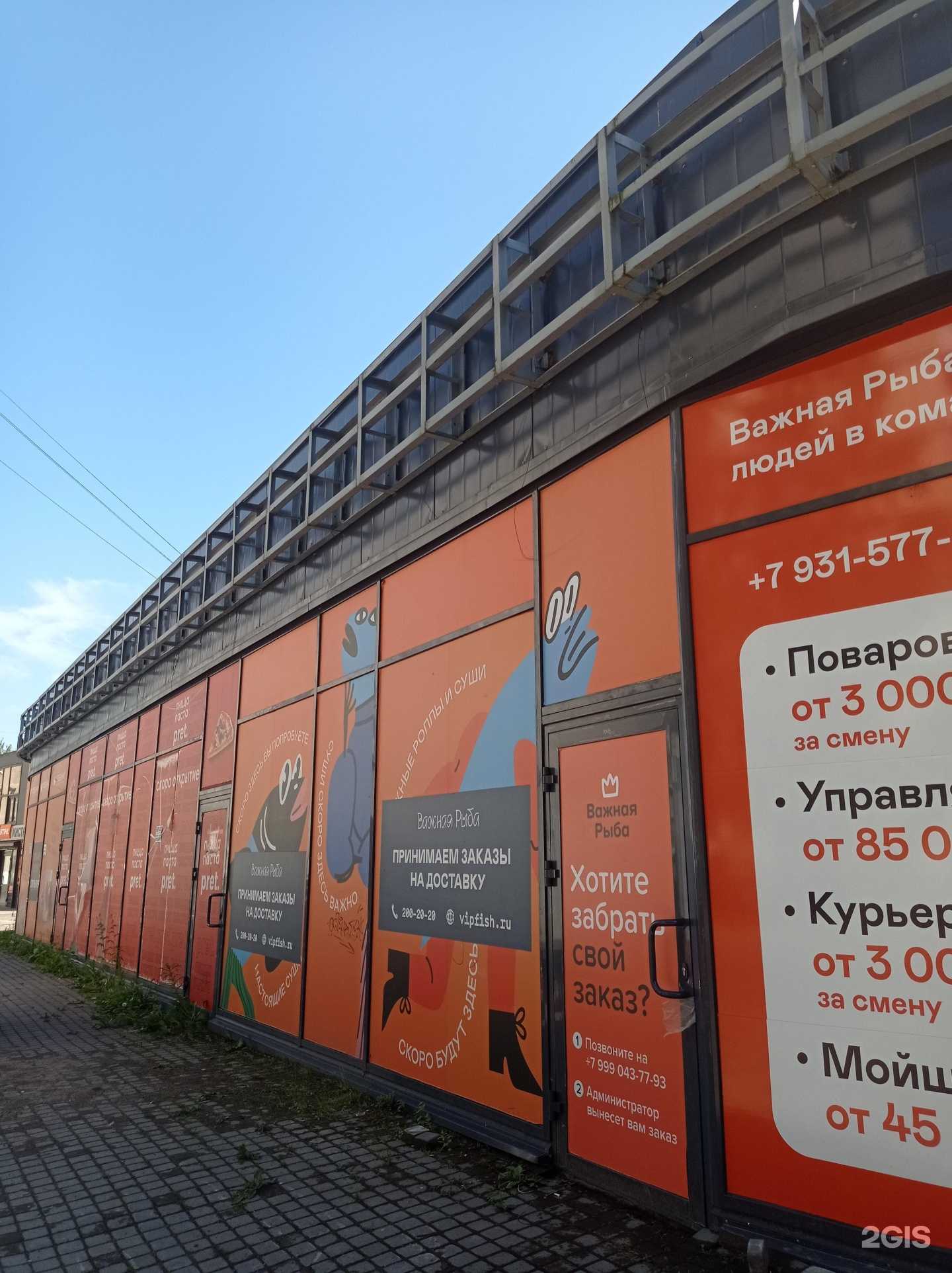 Отзывы на компанию Важная рыба в Всеволожске c фото - фотография 2 из 2