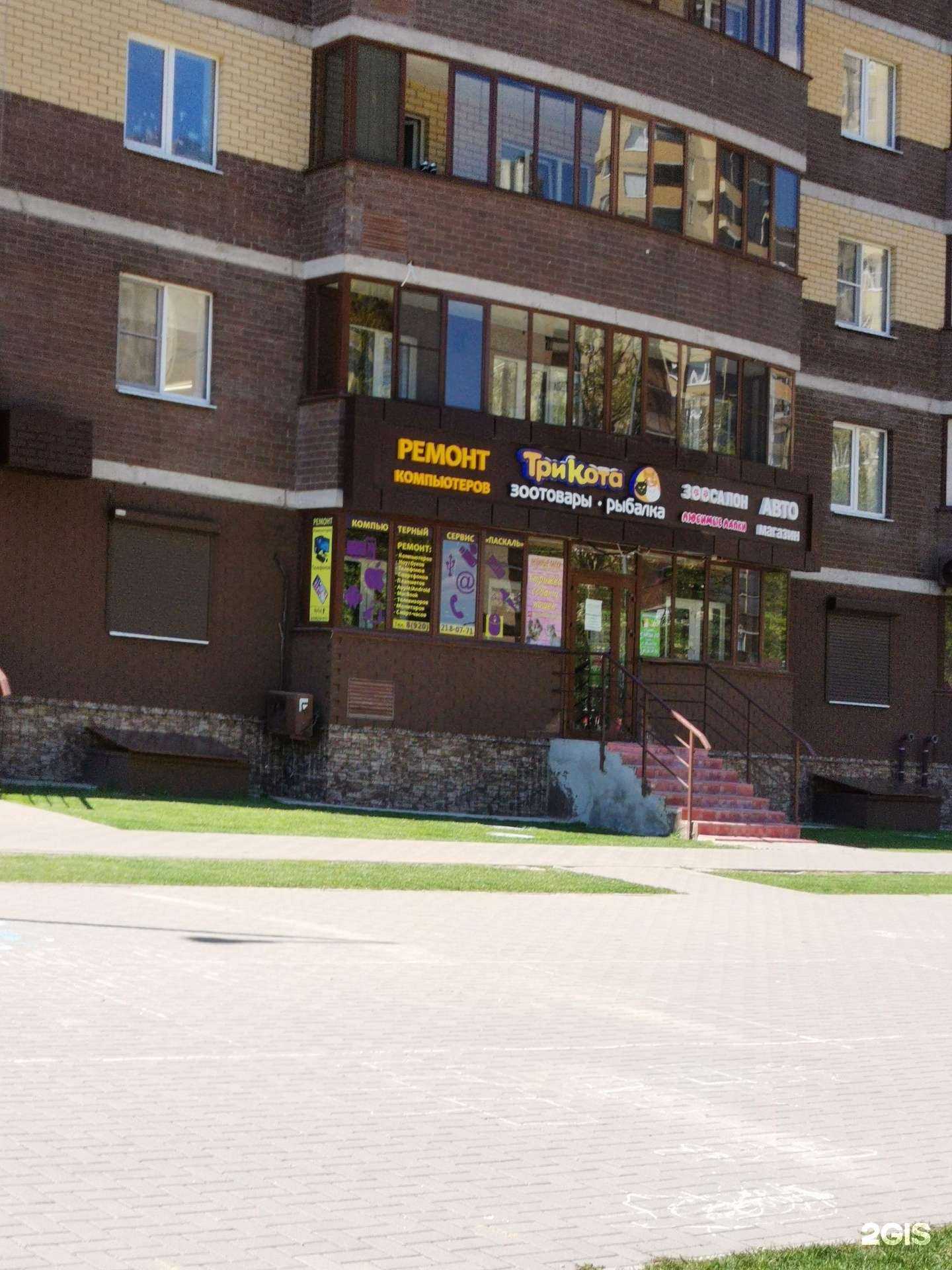 Отзывы на компанию Три кота в Воронеже c фото