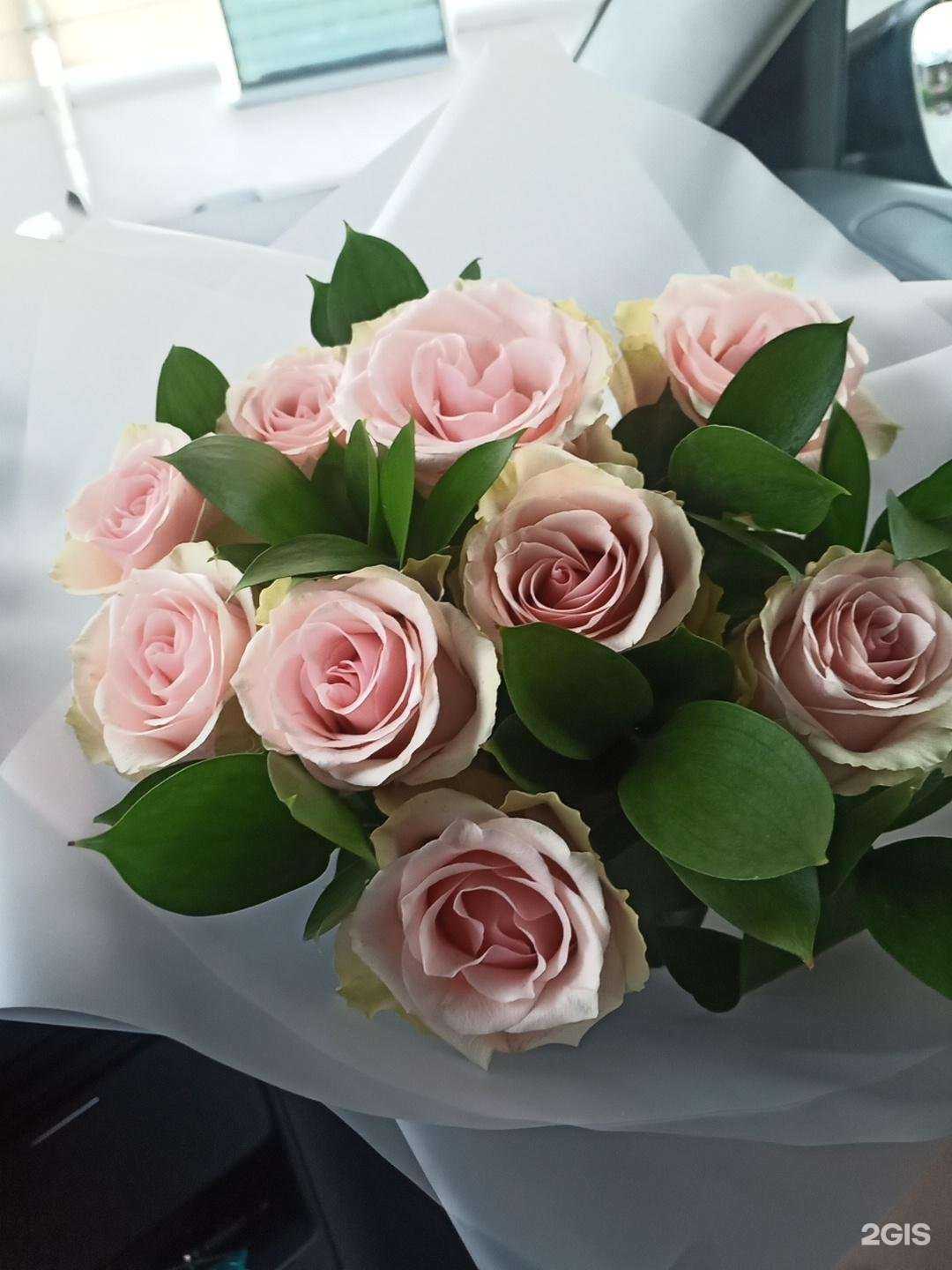 Отзывы на компанию Розовый сад в Екатеринбурге c фото