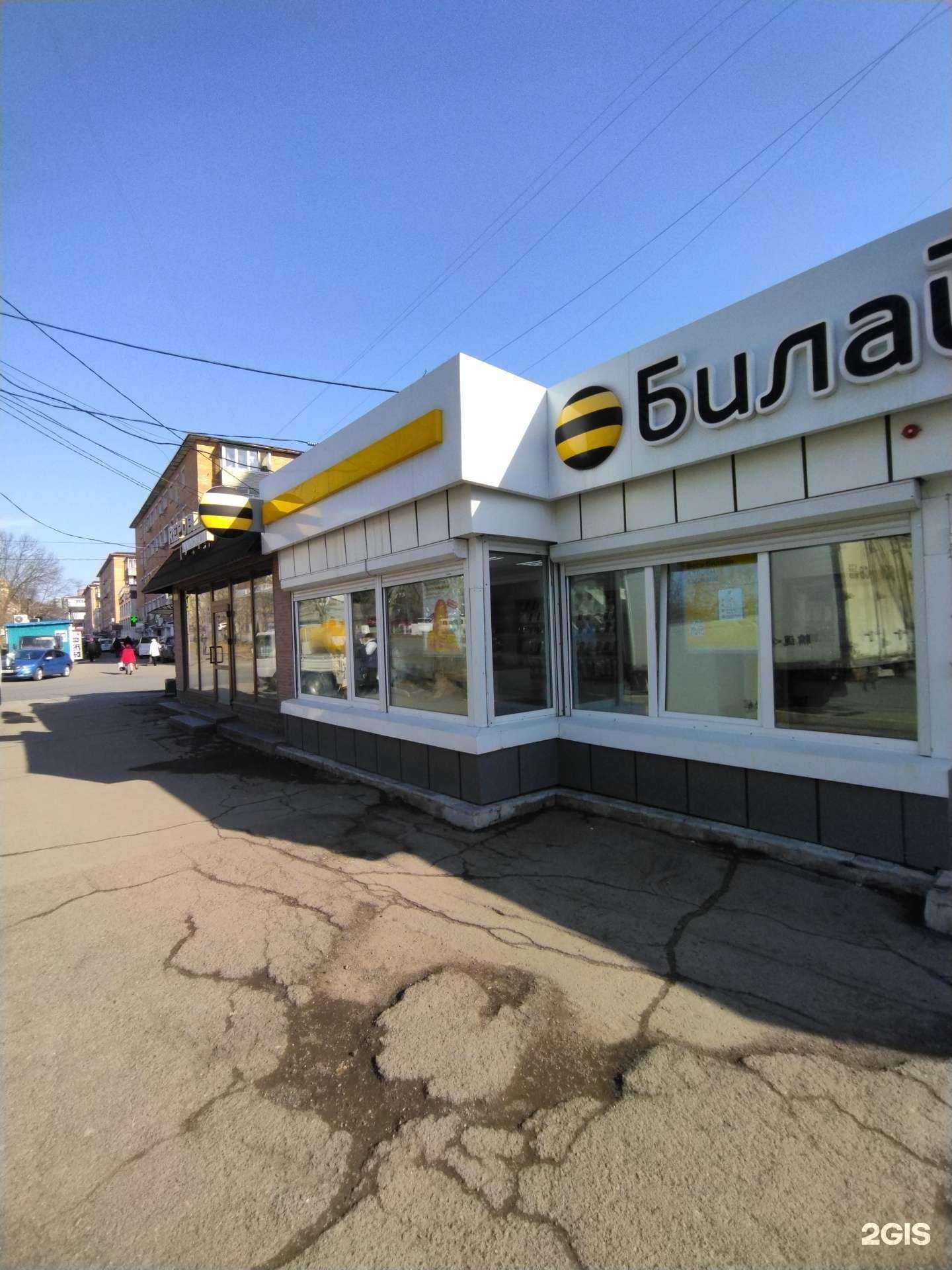 Отзывы на компанию билайн в Владивостоке c фото - фотография 2 из 2