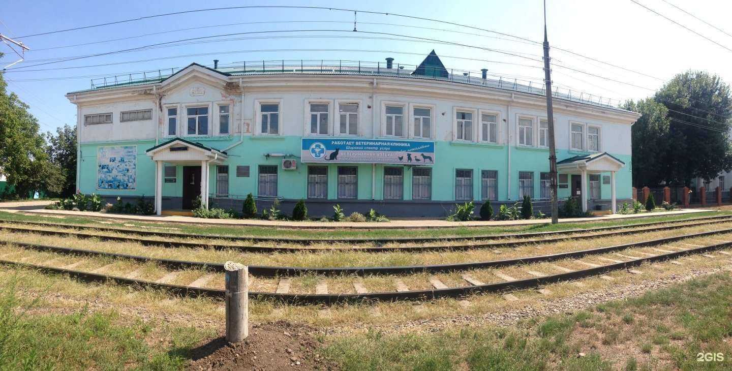 Отзывы на компанию Ветеринарный центр в Краснодаре c фото - фотография 2 из 2
