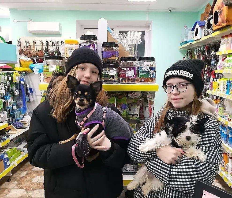 Отзывы на компанию Зоосервис в г. Чебоксары c фото