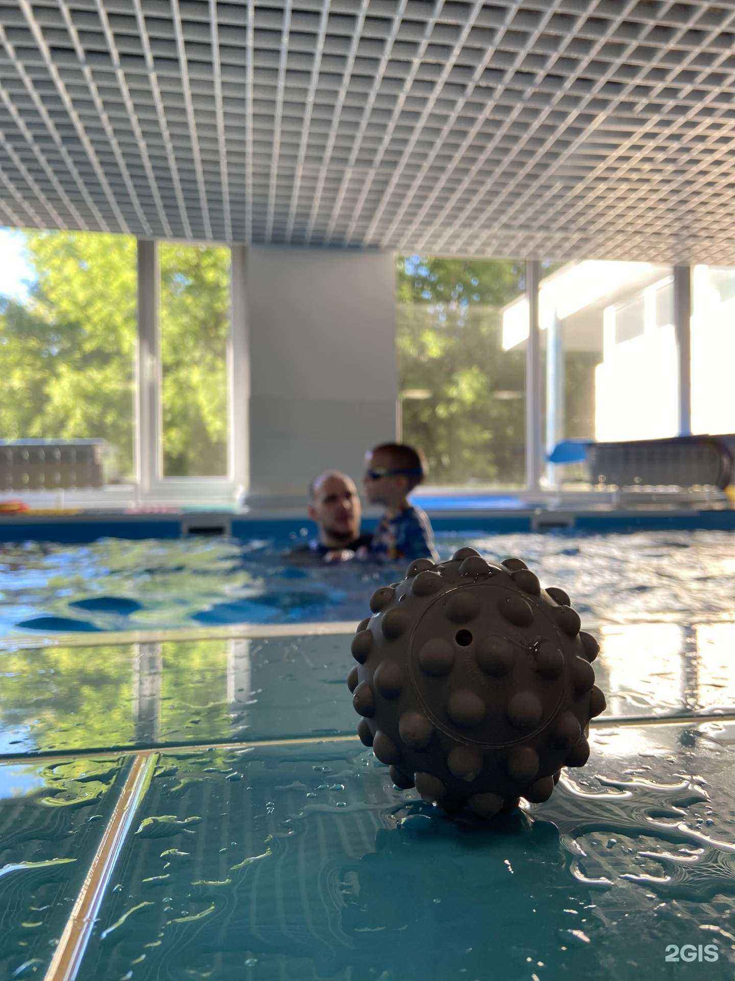 Отзывы на компанию BabyBass в г. Тольятти c фото