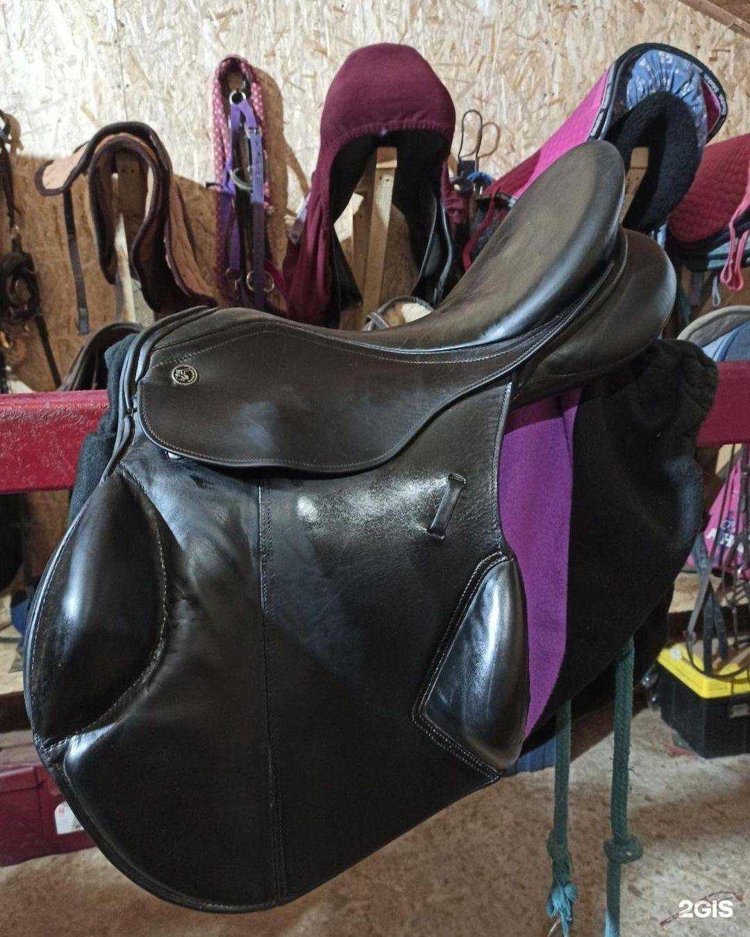 Отзывы на компанию Шереметьевские конюшни в Долгопрудном c фото