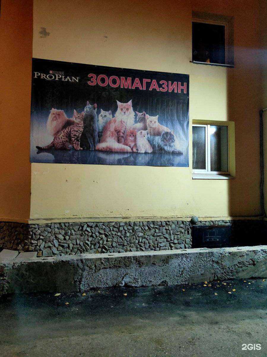 Отзывы на компанию Мир кошек и собак в Екатеринбурге c фото