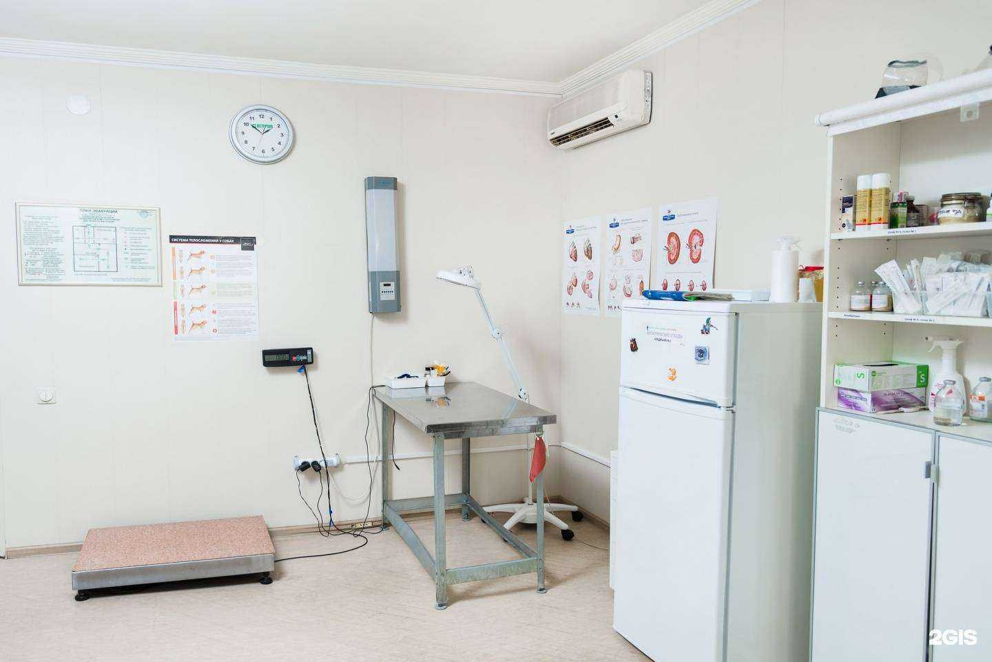 Отзывы на компанию Вет-сервис в г. Ростов-на-Дону c фото