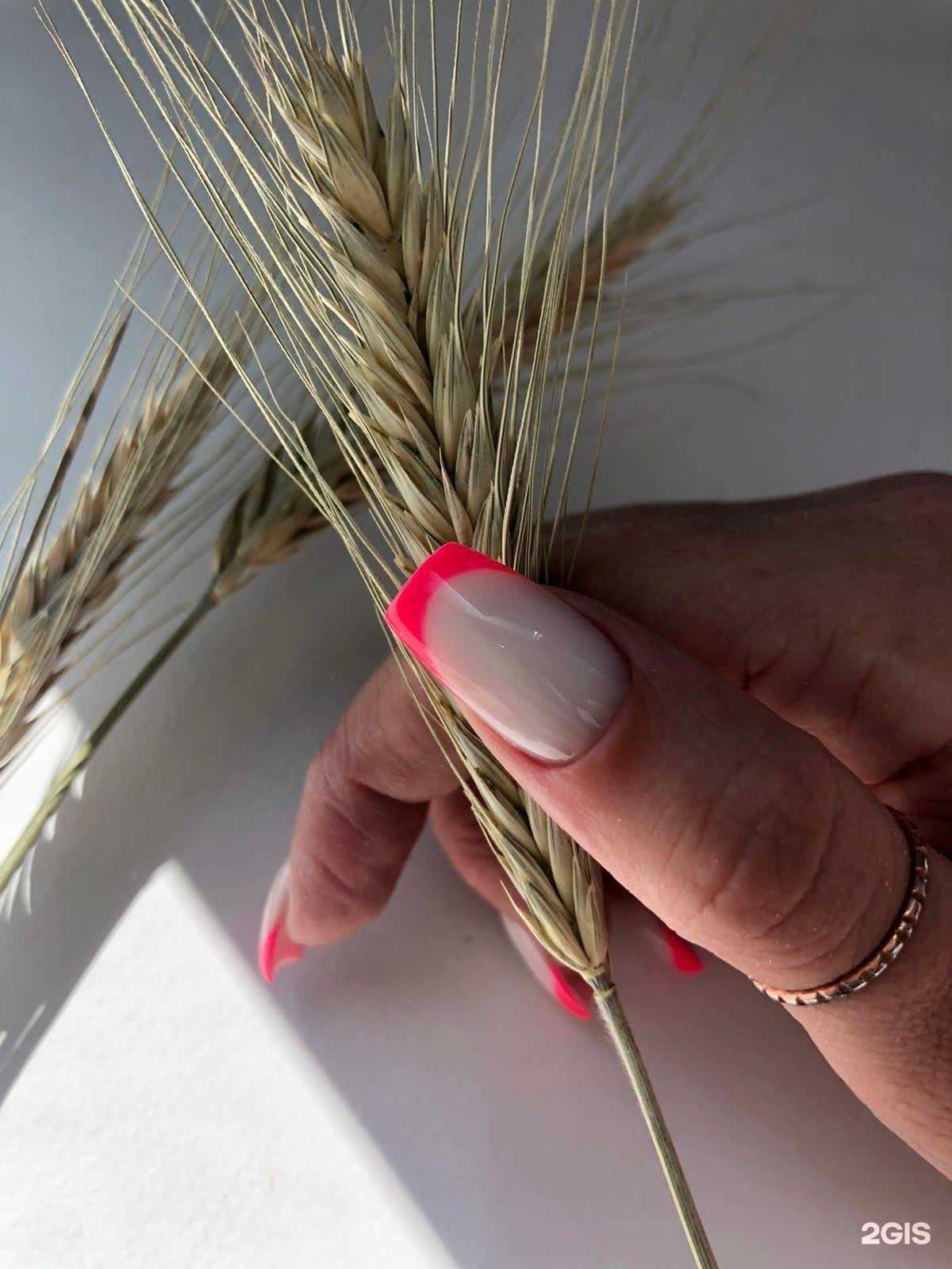 Отзывы на компанию Choice в Барнауле c фото