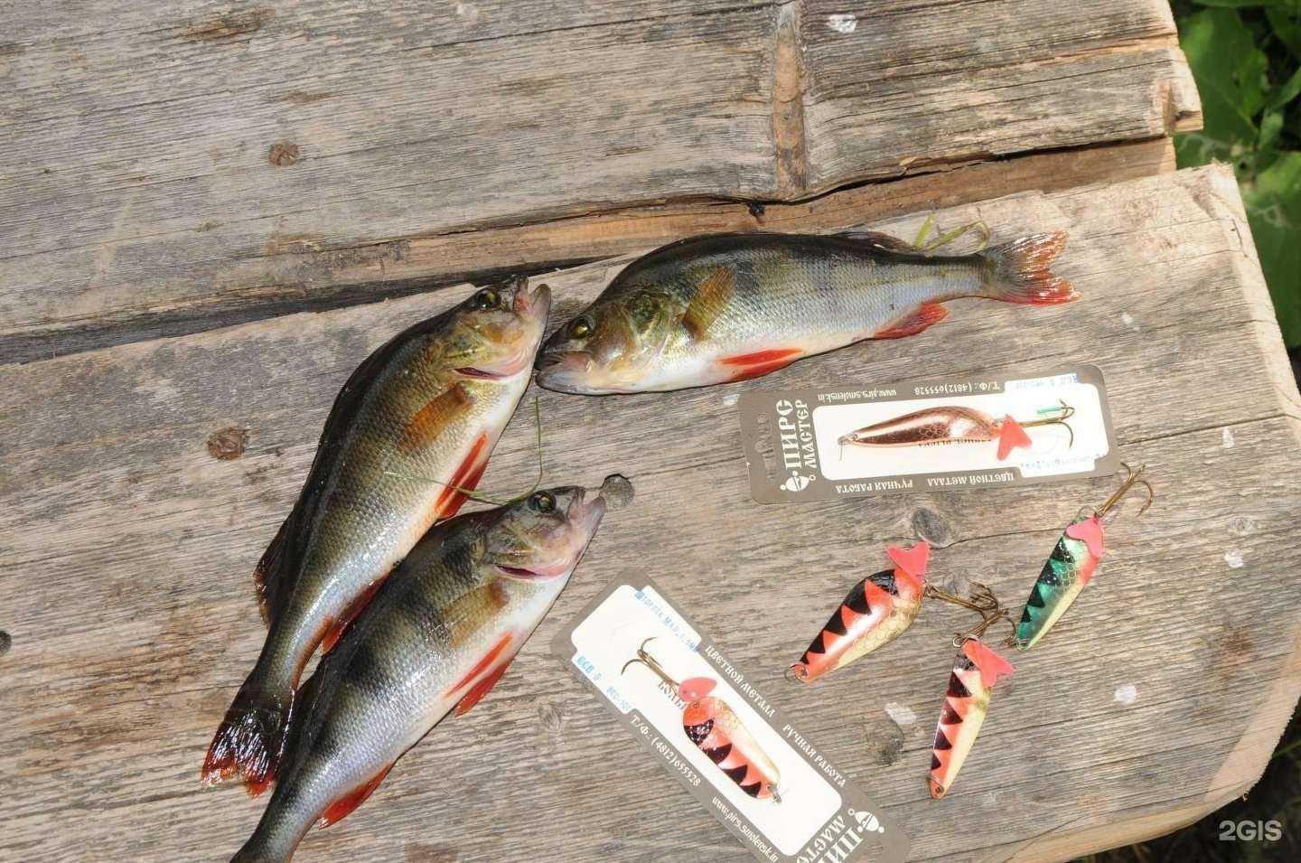 Отзывы на компанию Пирс мастер в г. Смоленск c фото