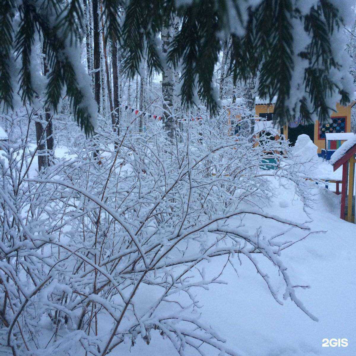 Отзывы на компанию Веселый хоровод в Новосибирске c фото