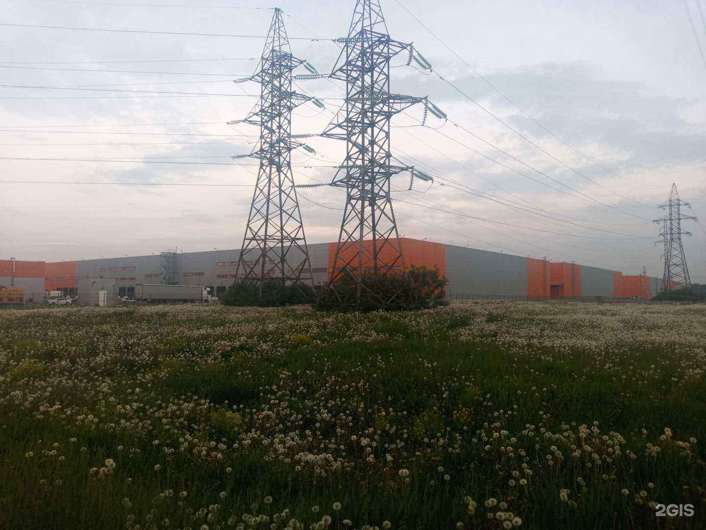 Отзывы на компанию Джамбо тойз в Подольске c фото