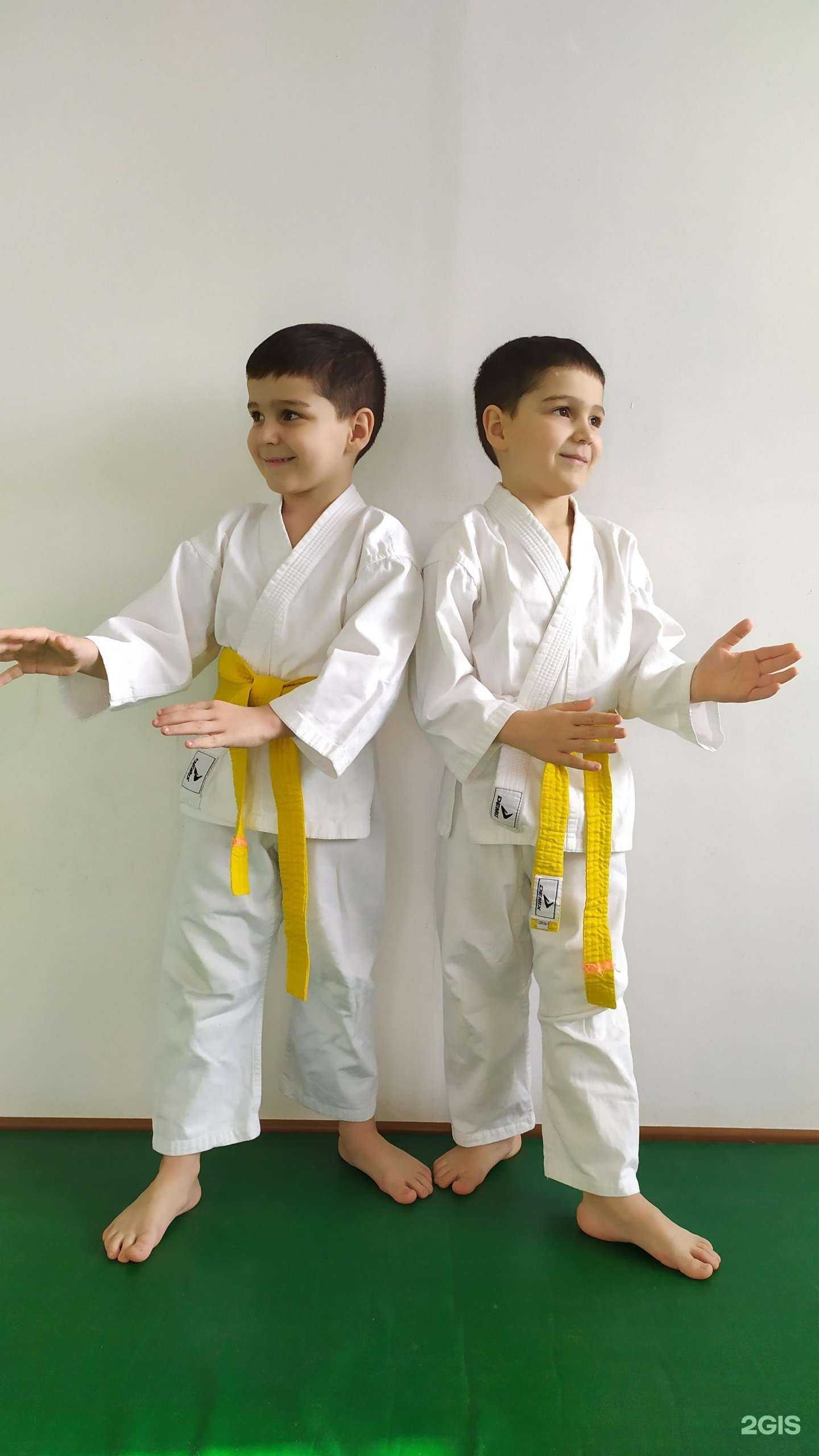 Отзывы на компанию Нижнетагильская школа Айкидо Айкикай в Нижнем Тагиле c фото