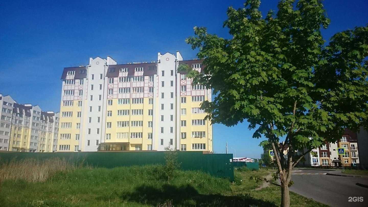 Отзывы на компанию Пицца на дом в Светлогорске c фото - фотография 2 из 2