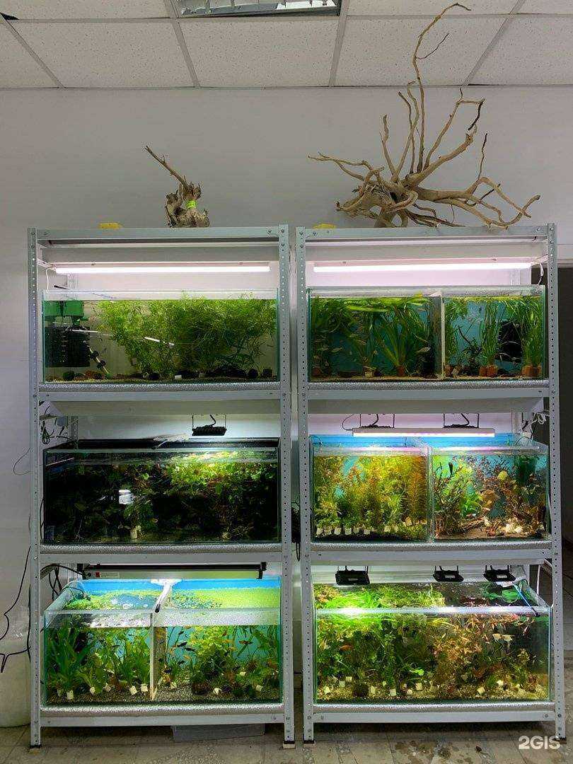 Отзывы на компанию Нептун в г. Саратов c фото