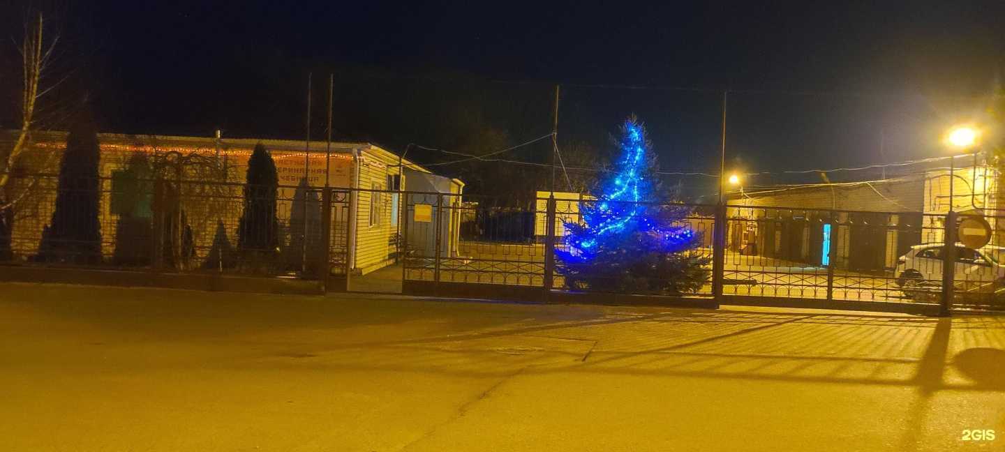 Отзывы на компанию Ставропольская городская станция по борьбе с болезнями животных в г. Ставрополь c фото