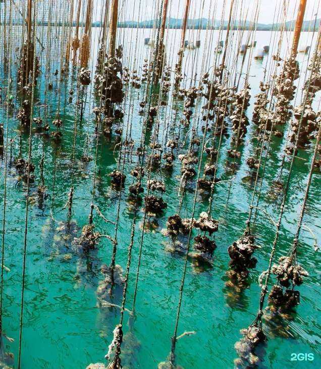 Отзывы на компанию Атлант в Владивостоке c фото