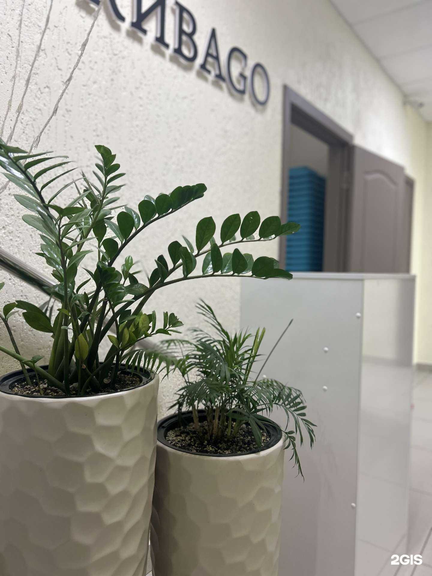 Отзывы на компанию Люби&Тело в Новосибирске c фото