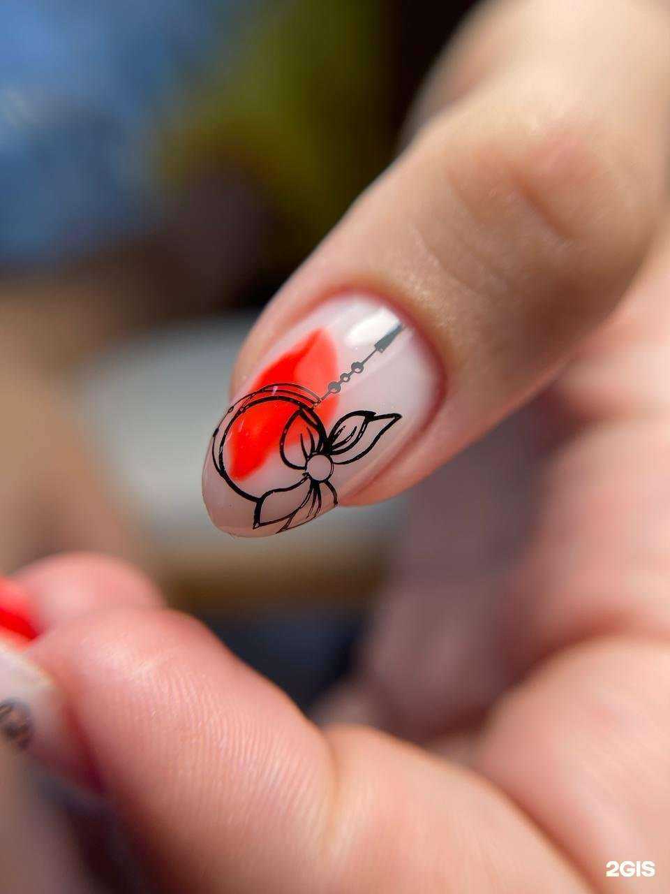 Отзывы на компанию Когти в Сочи c фото