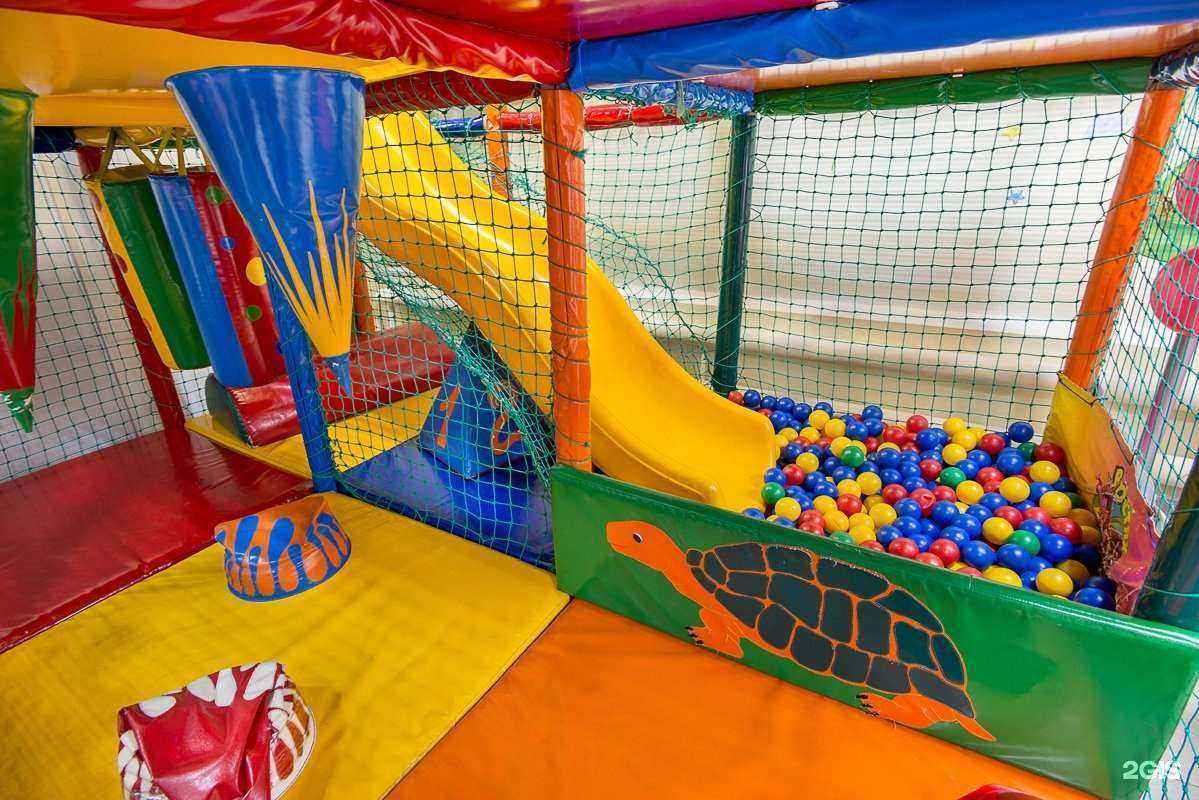 Отзывы на компанию Абрикоска в Новосибирске c фото