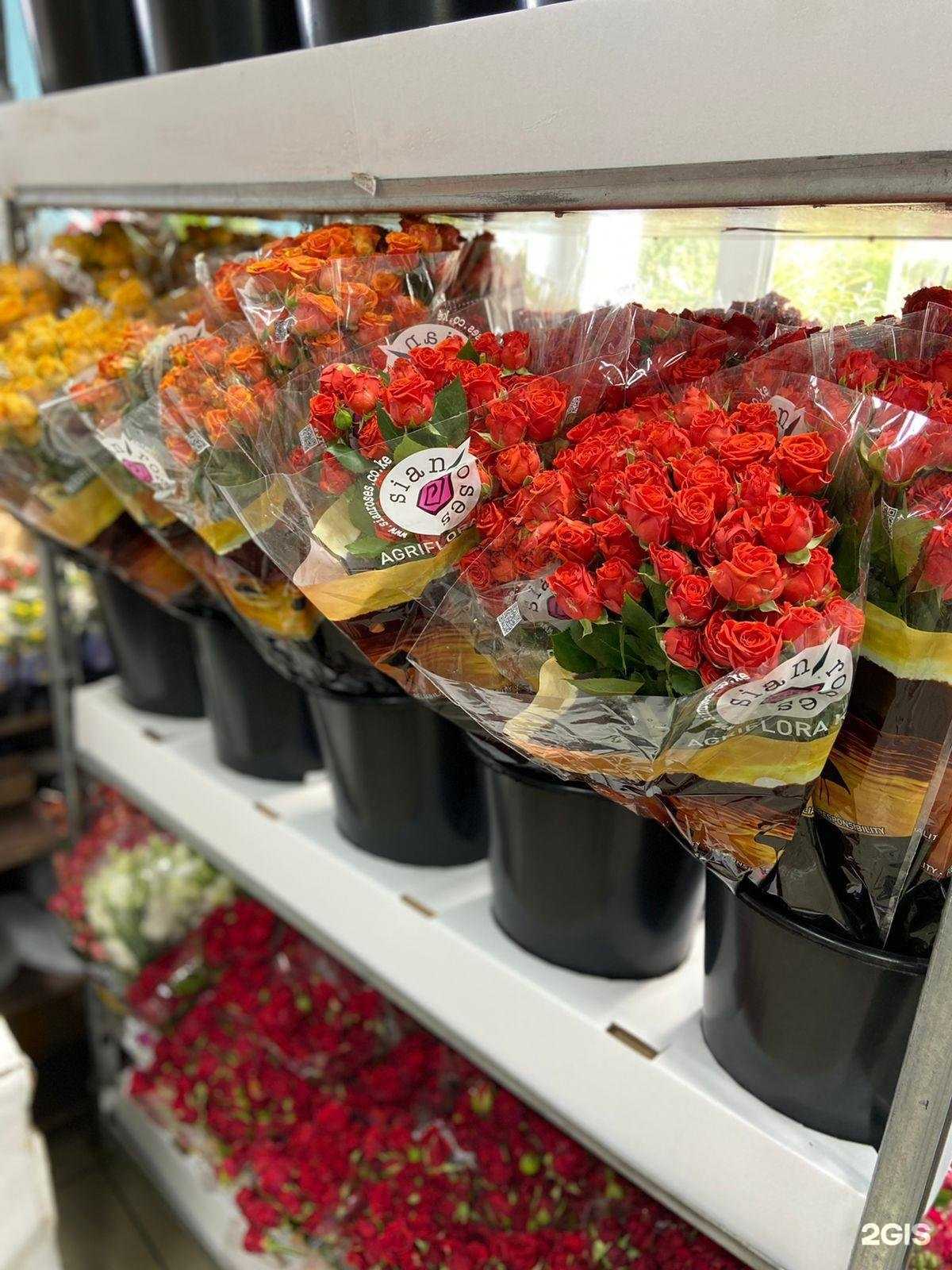 Отзывы на компанию Флорис в г. Барнаул c фото