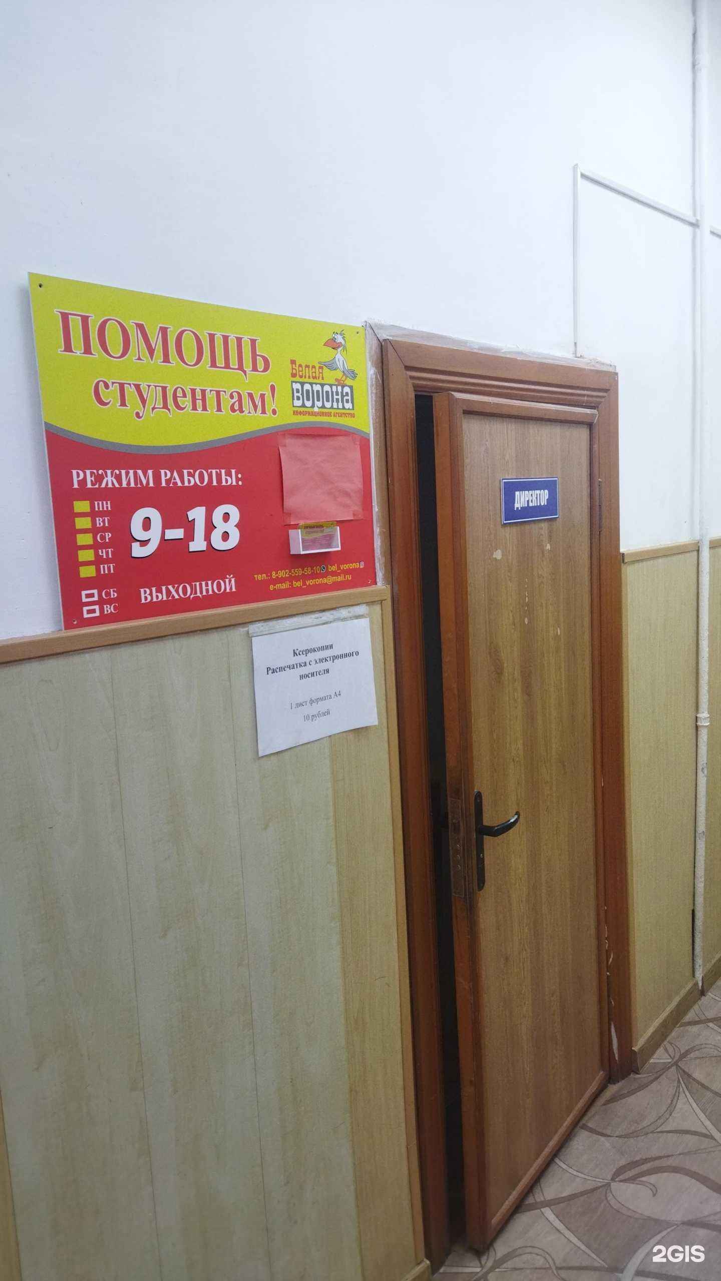 Отзывы на компанию Белая ворона в г. Уссурийск c фото