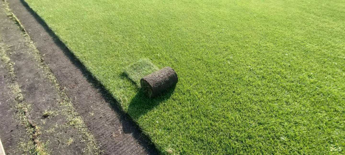 Отзывы на компанию Ландшафт-Омск в г. Омск c фото