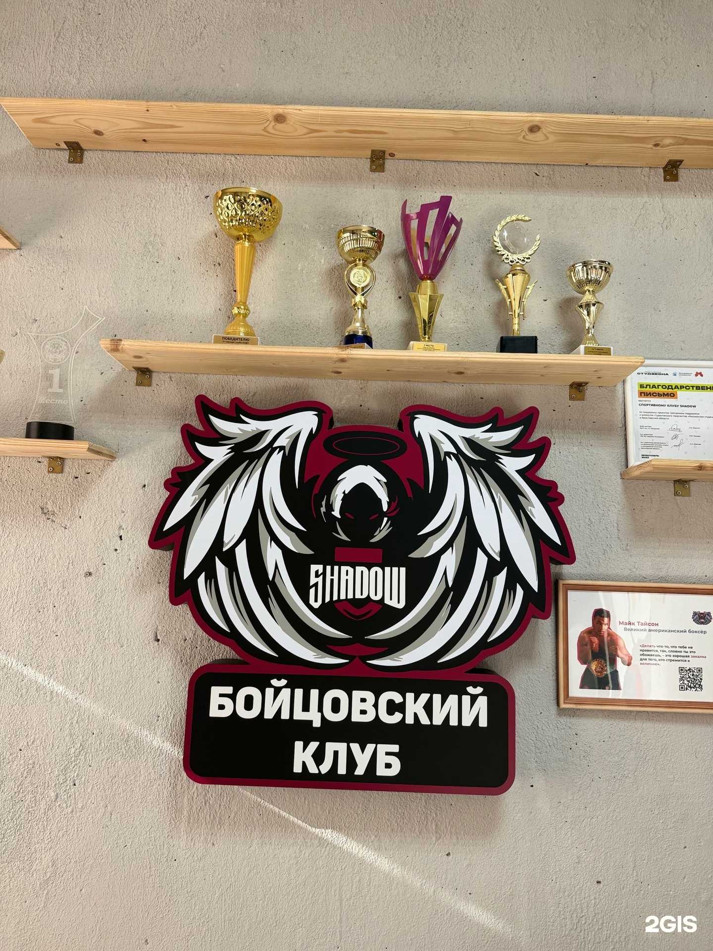 Отзывы на компанию Shadow club в Ярославле c фото