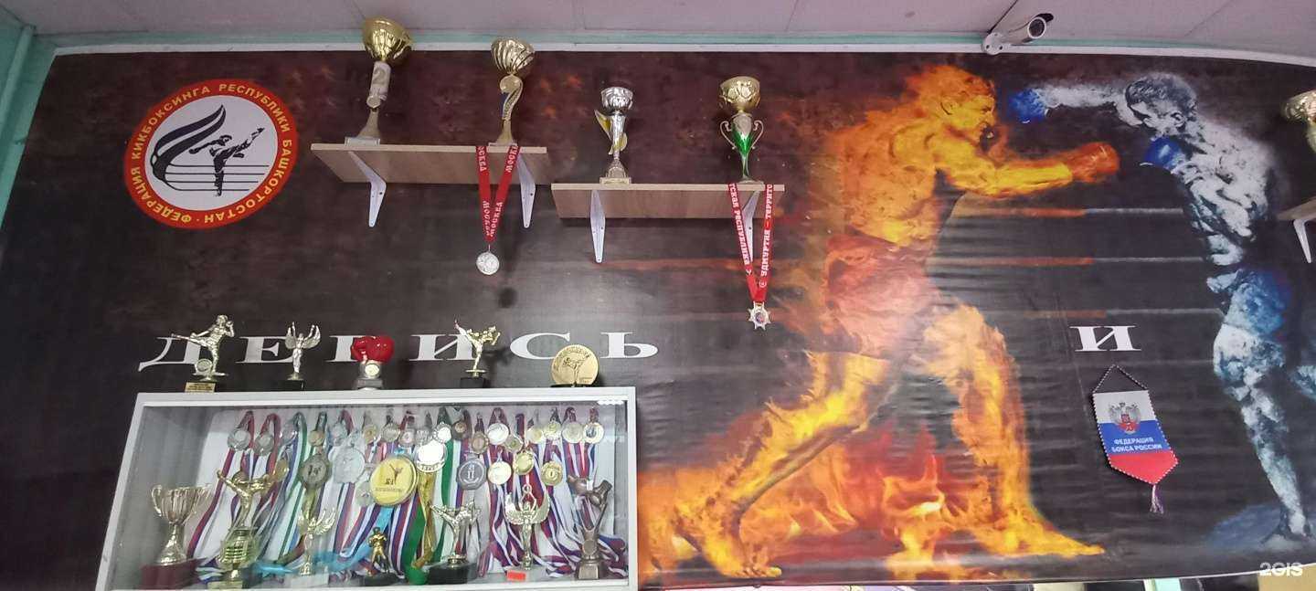 Отзывы на компанию Team record в г. Уфа c фото